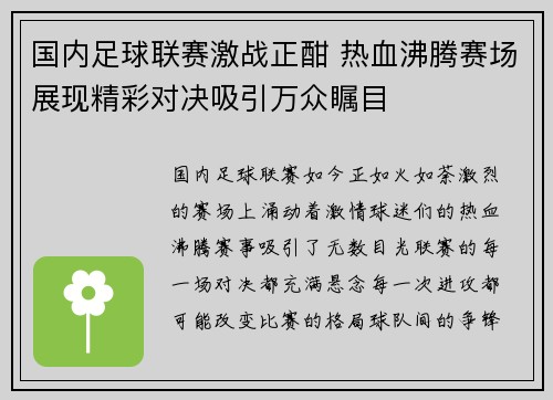 国内足球联赛激战正酣 热血沸腾赛场展现精彩对决吸引万众瞩目